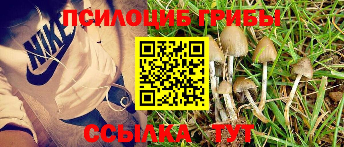 Псилоцибиновые грибы MAGIC MUSHROOMS  Вход с VPN  Сызрань 