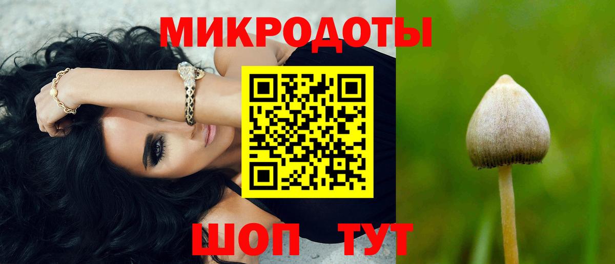 Галлюциногенные грибы Psilocybine cubensis Сызрань